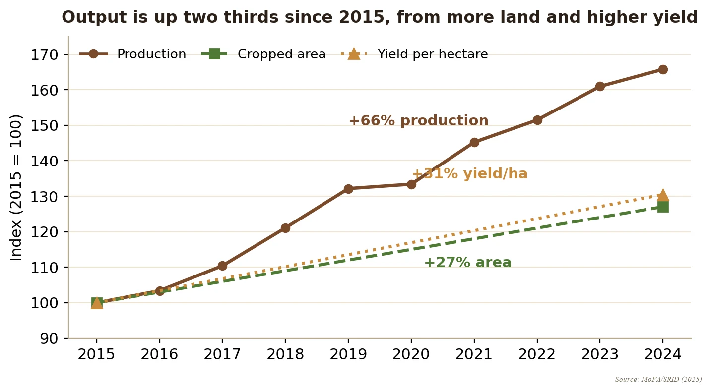 Cassava production, area and yield in Ghana, indexed to 2015: output rising faster than either area or yield alone