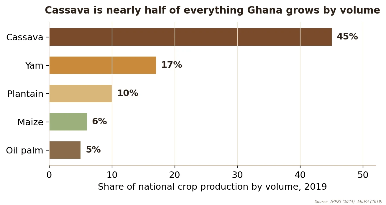 Cassava's share of national crop production by volume: about 45 percent, the single largest of Ghana's crops