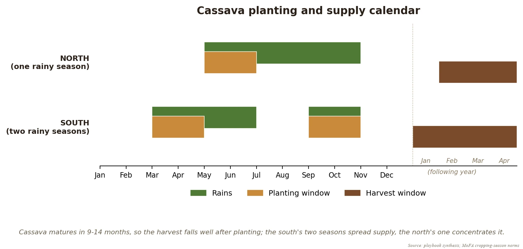 The cassava planting and supply calendar: one rainy season in the north with a concentrated harvest, two in the south that spread supply across the year
