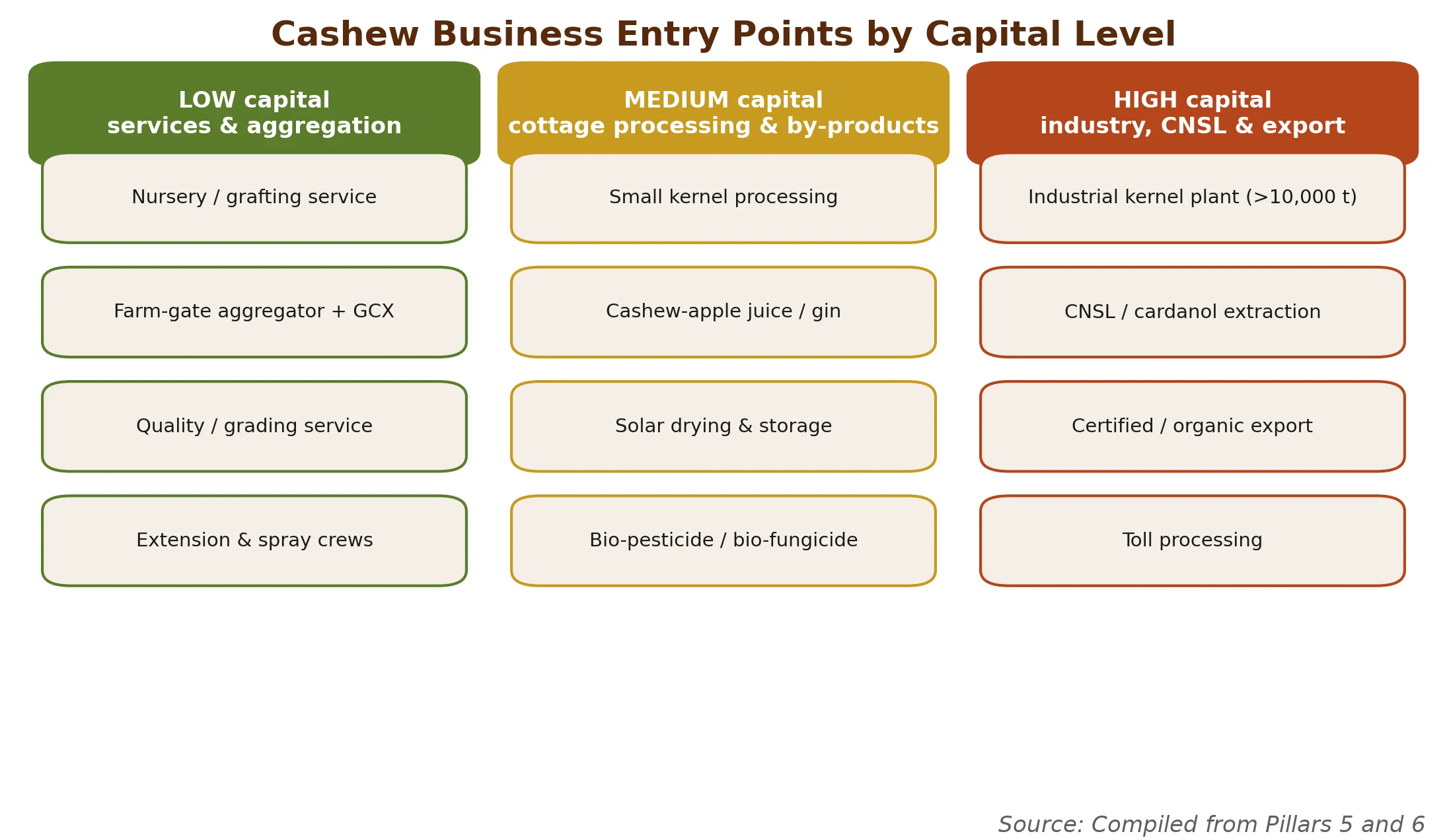 Cashew business entry points sorted by capital level, from low-capital services to high-capital industry