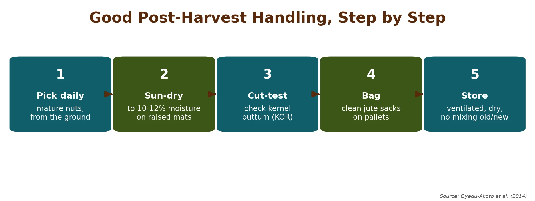 Good post-harvest handling in five steps, the cheapest way to protect quality and kernel outturn