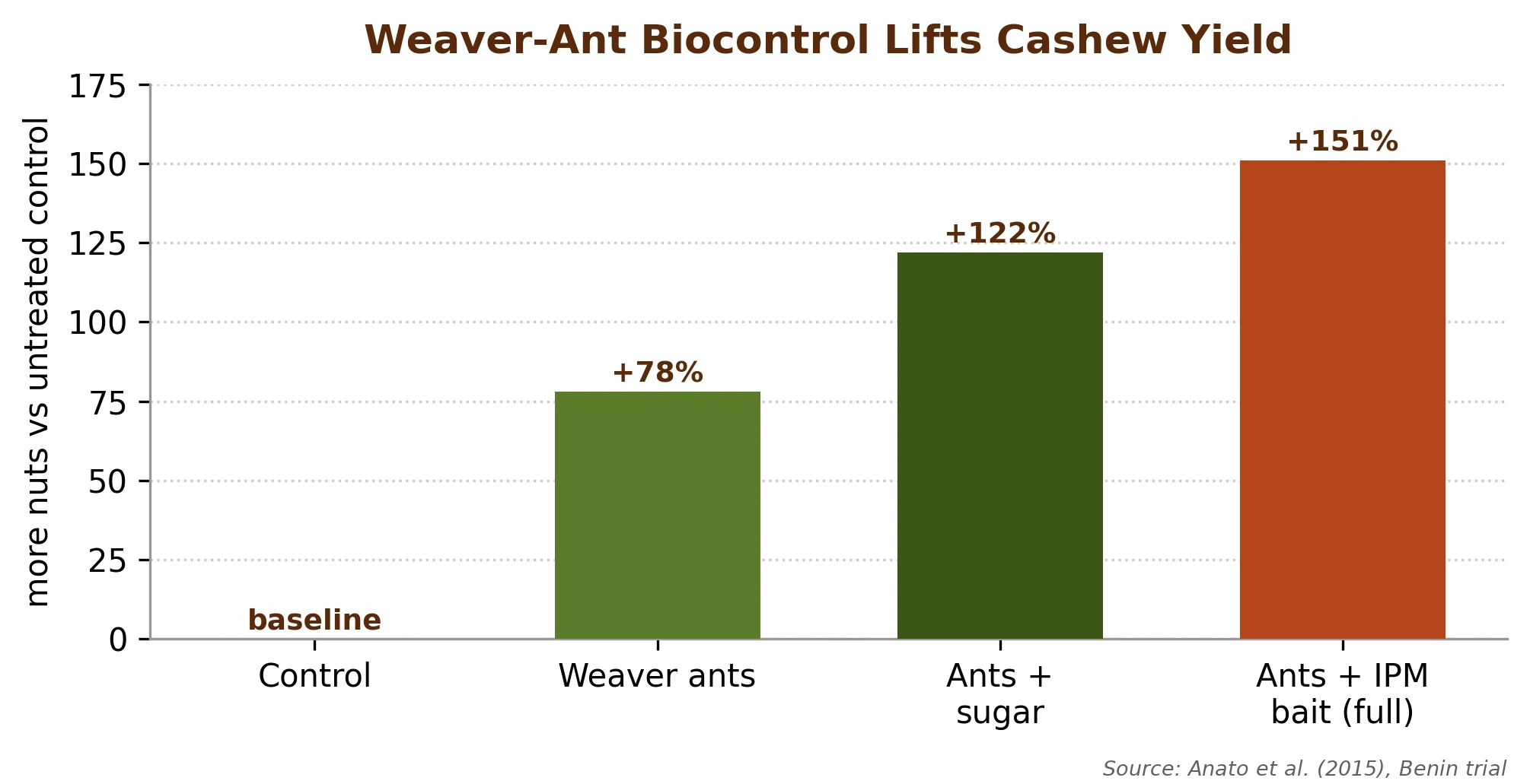 A near-free biocontrol: weaver-ant colonies sharply lift cashew nut yield and quality