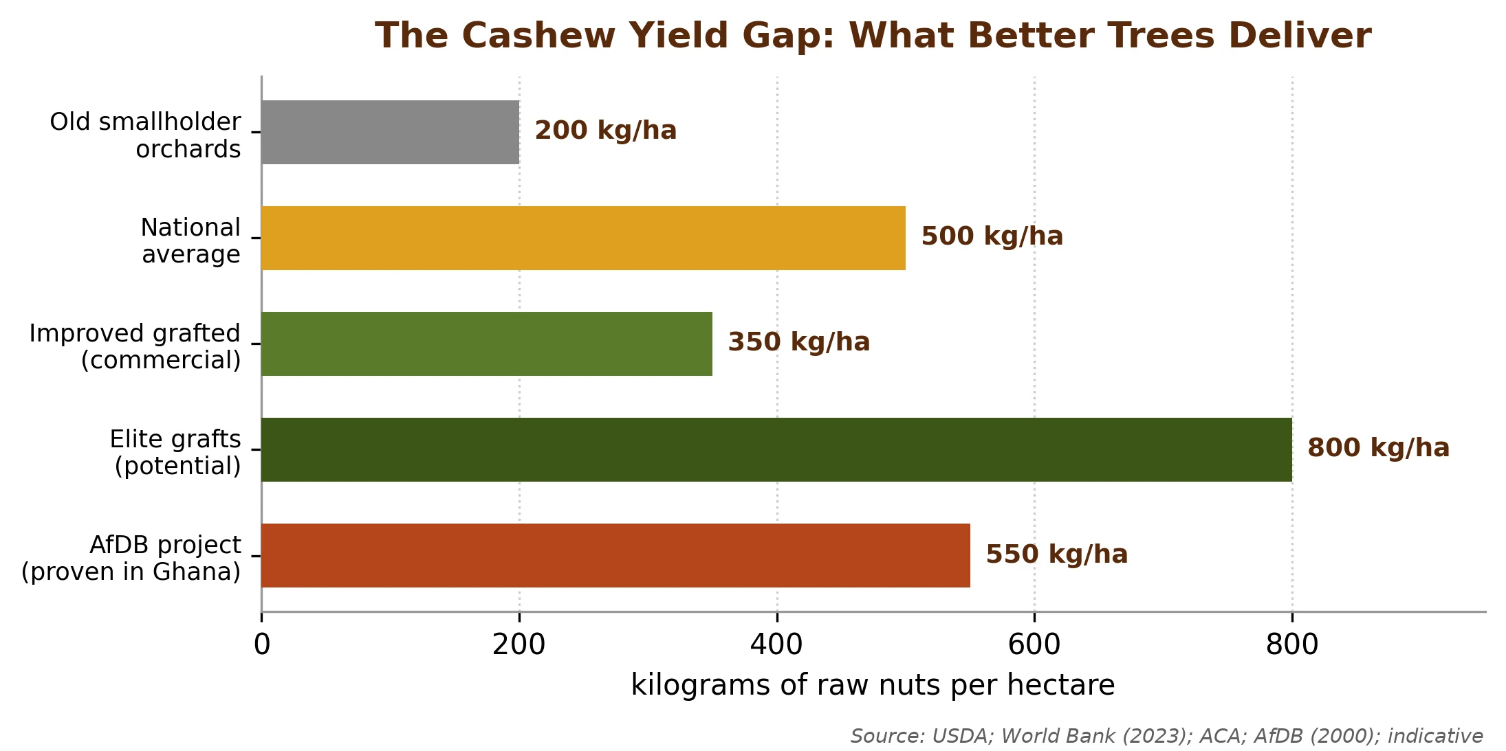 Better trees, not more land: grafted and elite material multiplies cashew output per hectare
