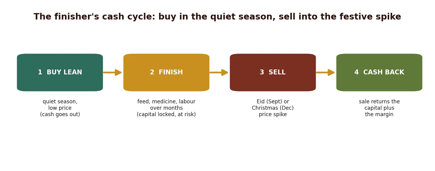 The finisher's cash cycle: buy lean in the quiet season, finish, sell into the festive spike