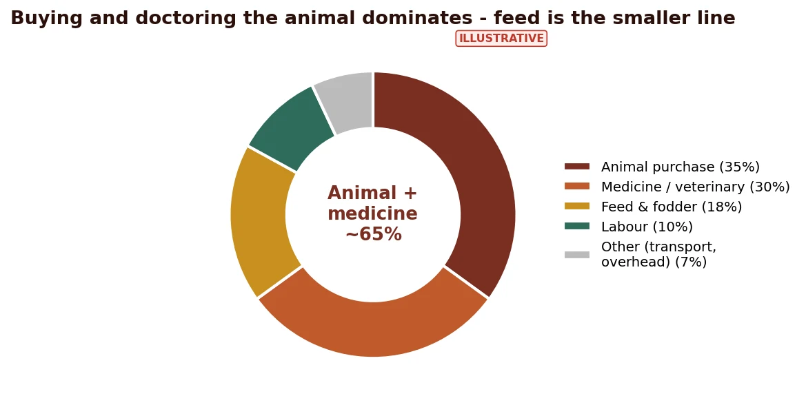 Where a cattle finisher's money goes: the bought animal dominates, medicine leads the operating cost, feed is a smaller line than in poultry or fish