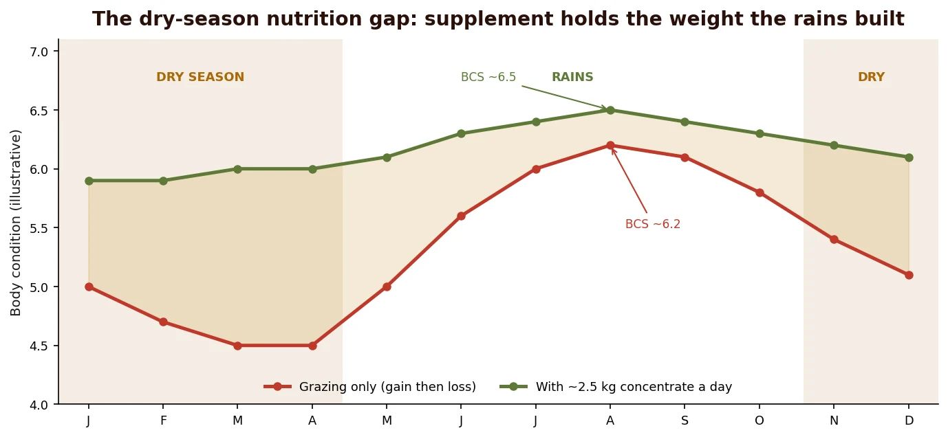 The dry-season nutrition gap and how supplementation closes it