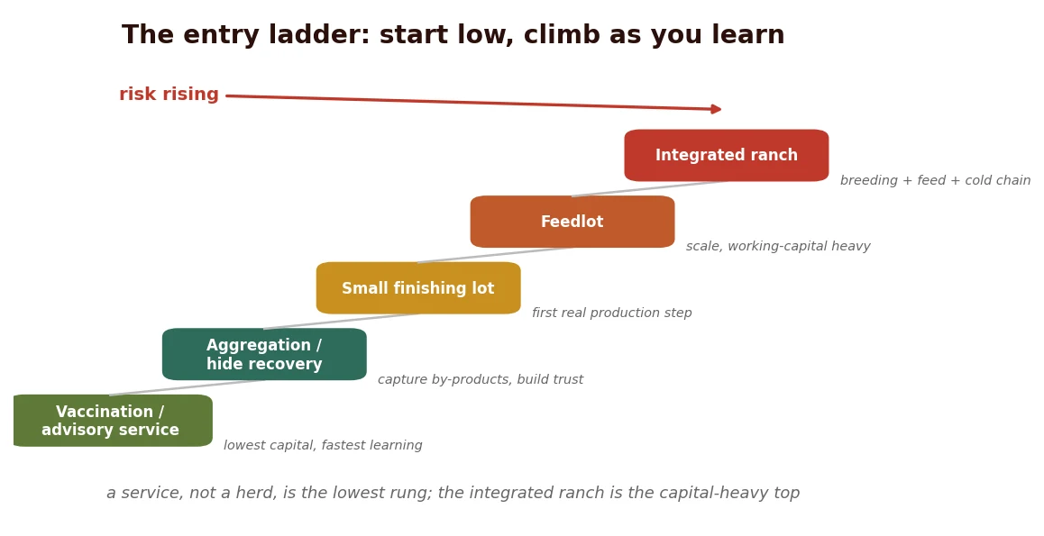 The entry ladder: capital rises up the rungs, but the fastest learning is at the bottom