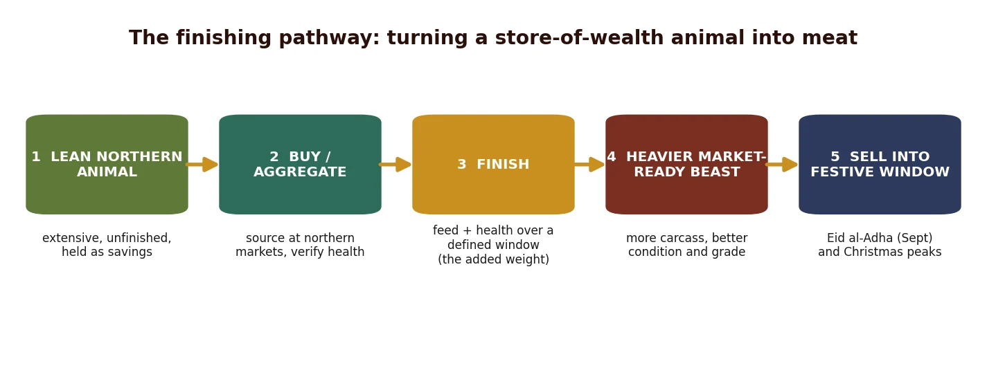 The finishing pathway: from store-of-wealth animal to market-ready beast