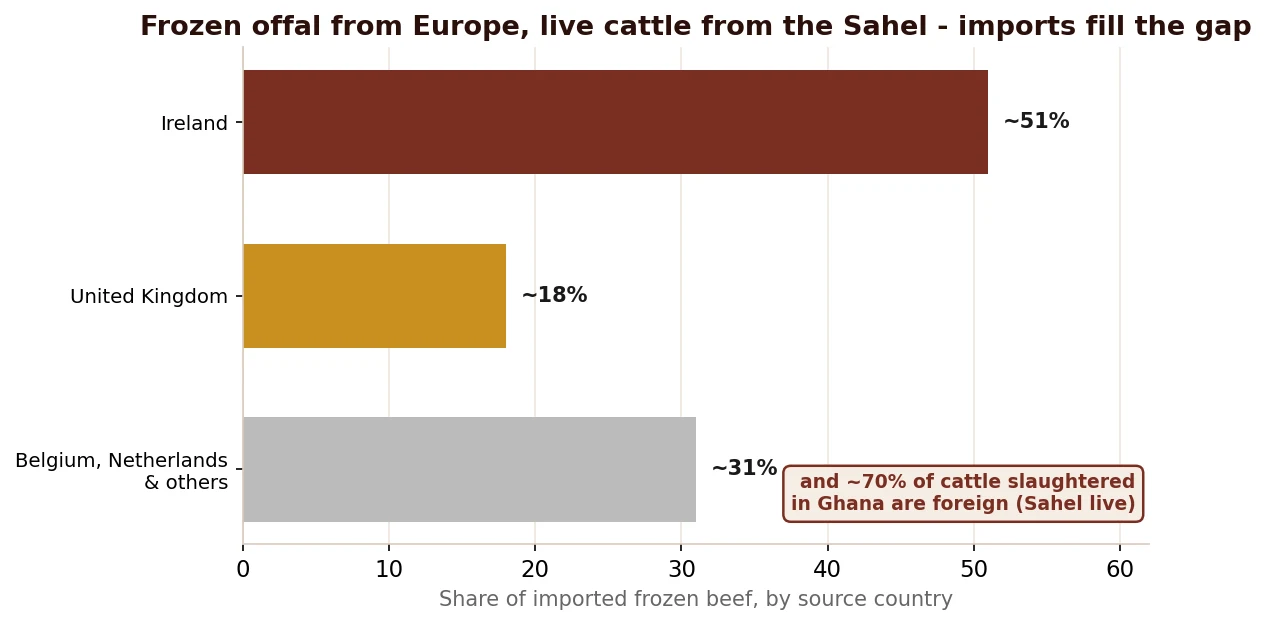 Two import streams: frozen offal from Europe and live cattle from the Sahel, the gap local beef must win back