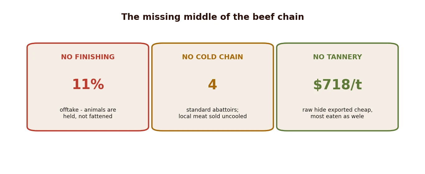 The missing middle of the beef chain: no finishing, no cold chain, no modern tannery between the northern herd and the southern plate