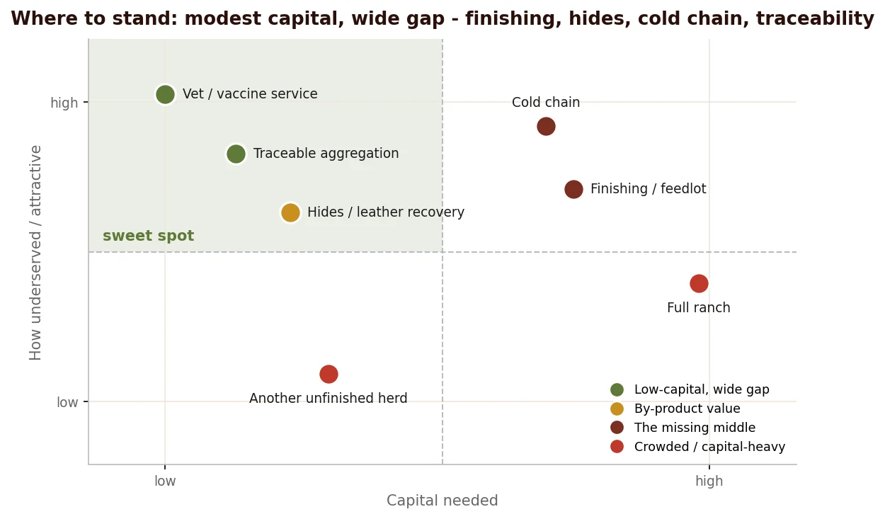 The synthesis of openings: where the gap is widest and the capital most modest