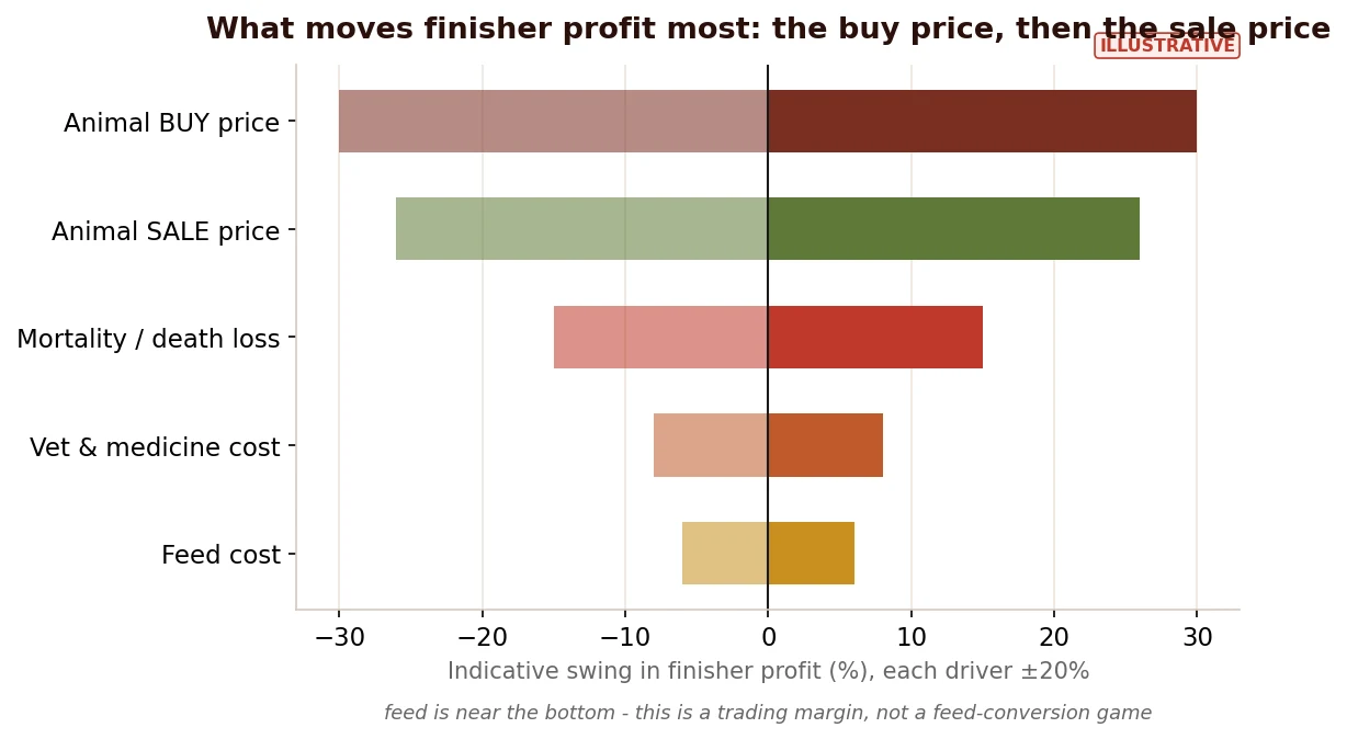 What moves a finisher's profit: buy price and sale price dominate, then mortality; the feed bill barely registers by comparison