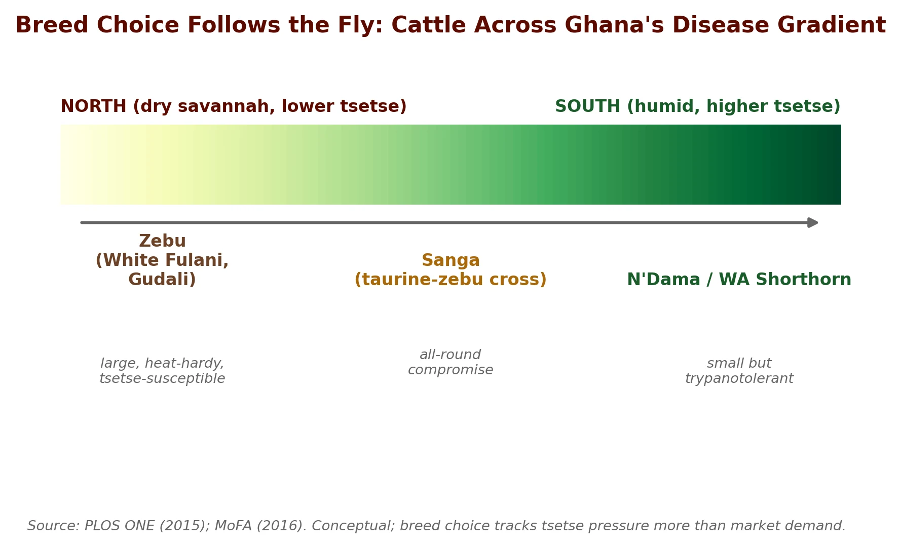 The tsetse belt: why the hardy local breeds hold where the bigger zebu cannot