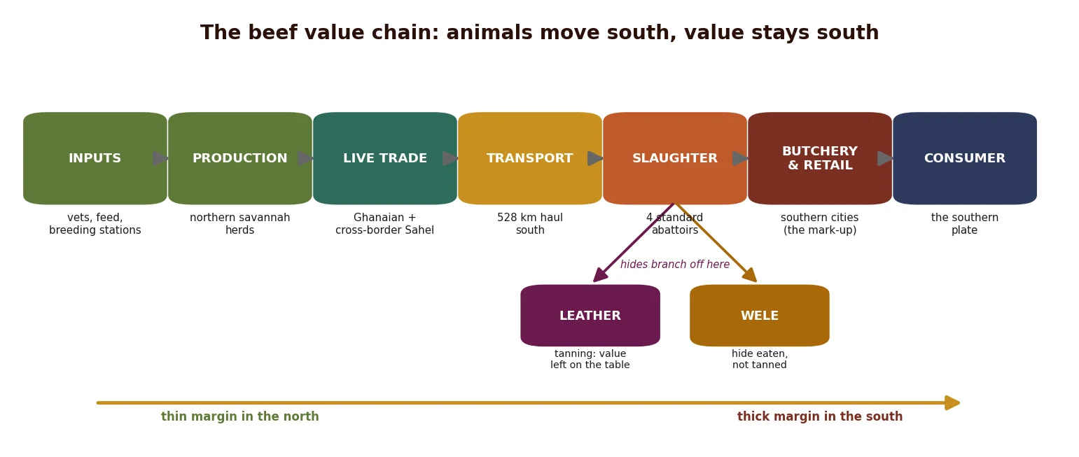 The beef value chain from the northern herd to the southern plate, with the hide and offal by-product branches at slaughter