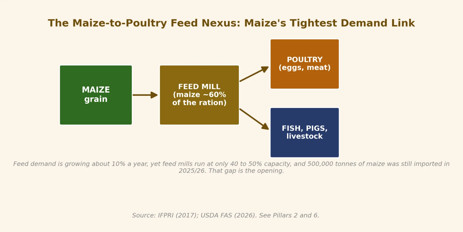 The maize-to-poultry feed nexus, maize's tightest demand link