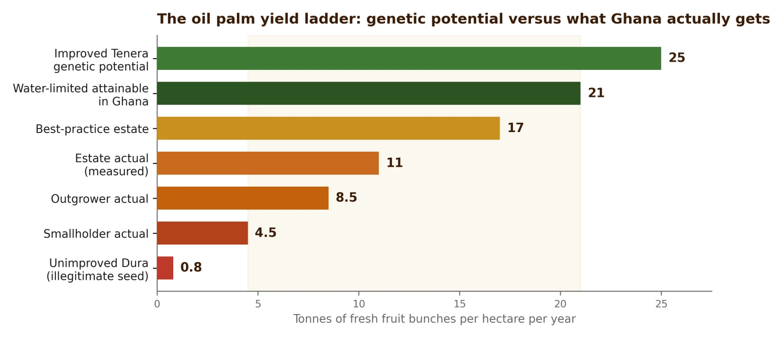 The oil palm yield ladder in Ghana, from genetic potential down to what smallholders actually harvest