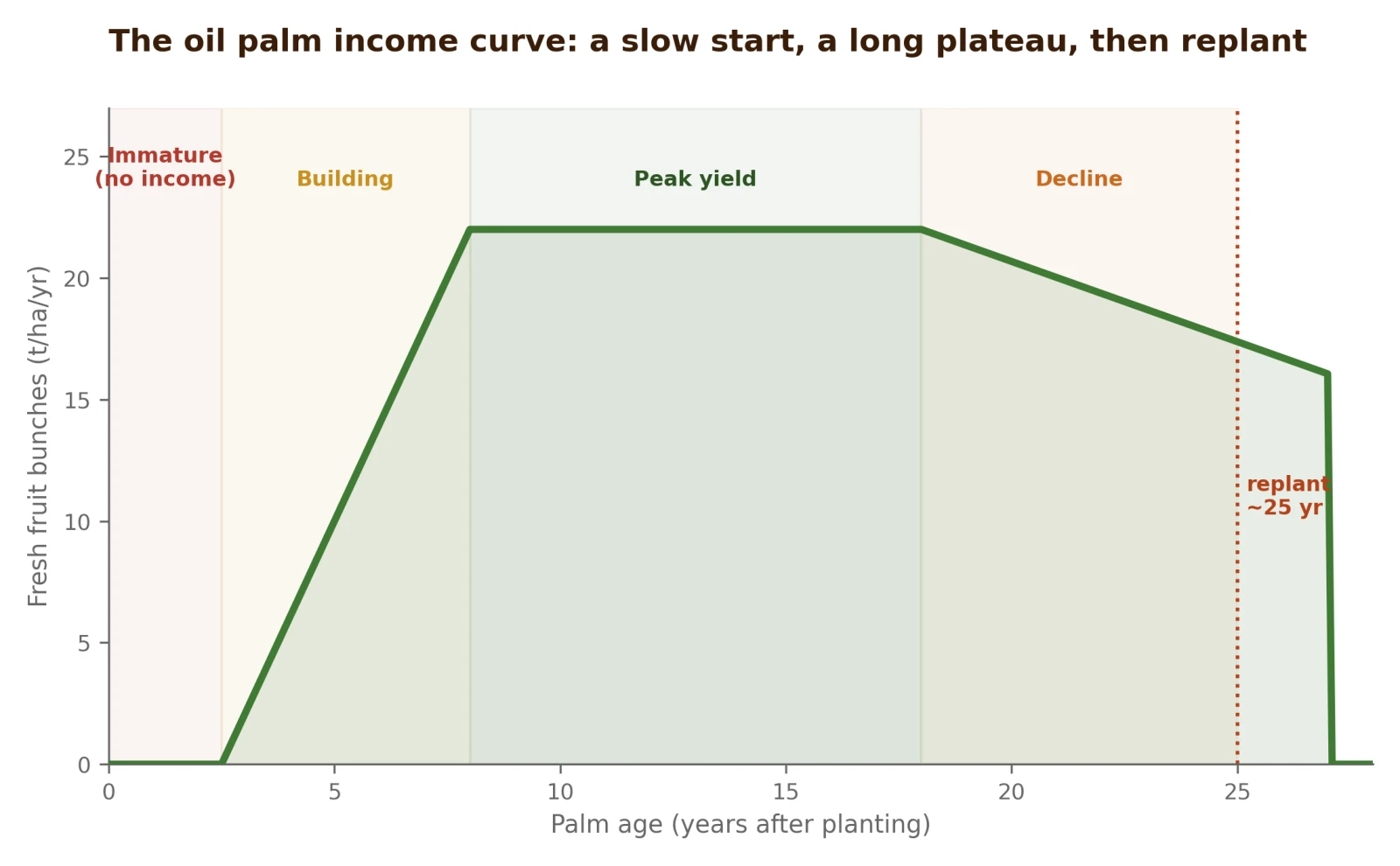 The oil palm yield curve over a 25-year cycle, from the immature valley through peak yield to replanting