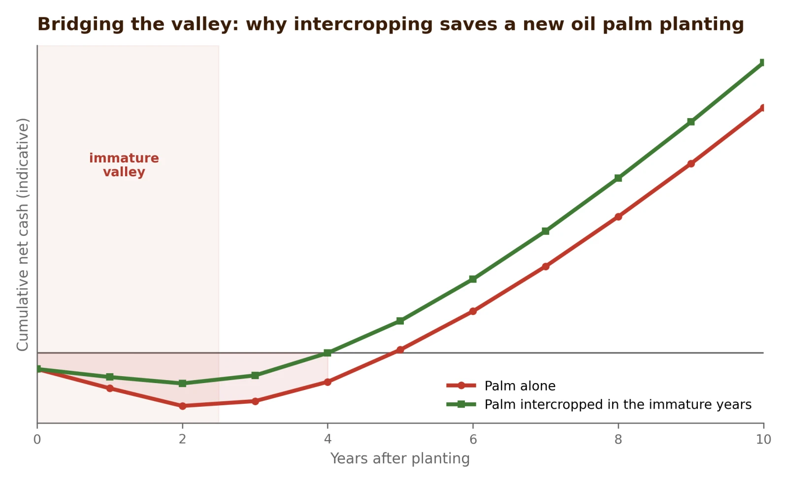 The immature cash-flow valley, and how intercropping shortens and shallows it