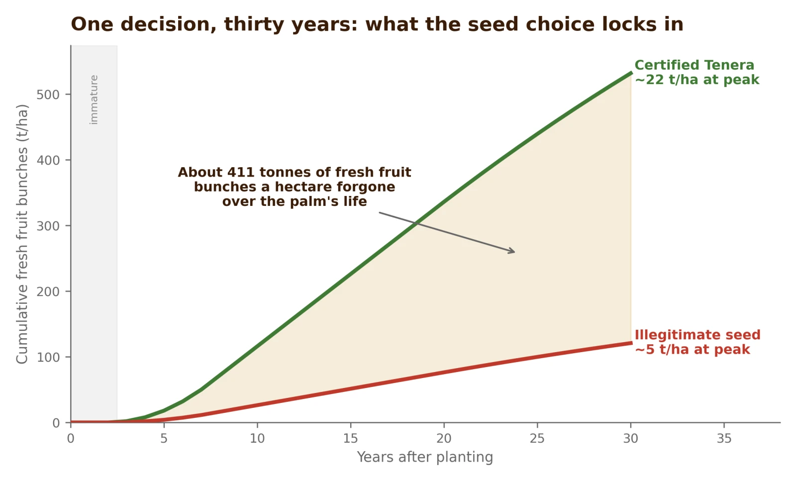 What the seed choice locks in: cumulative fresh fruit bunches over a palm's life, certified Tenera against illegitimate seed