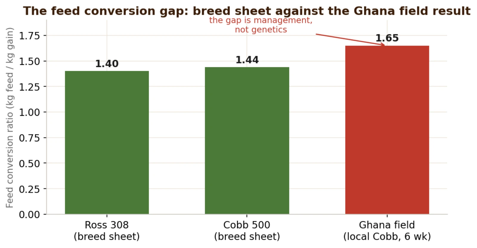 The feed conversion gap in Ghana, from the breed-sheet target to the field result, and what it costs