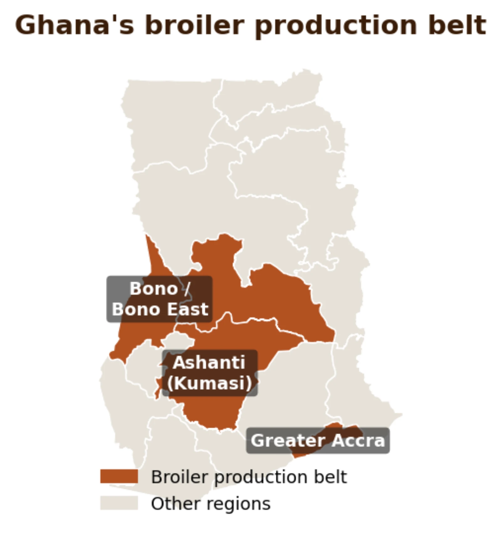 Ghana's broiler production belt, clustered near feed mills and the big urban markets of Ashanti, Bono and Greater Accra