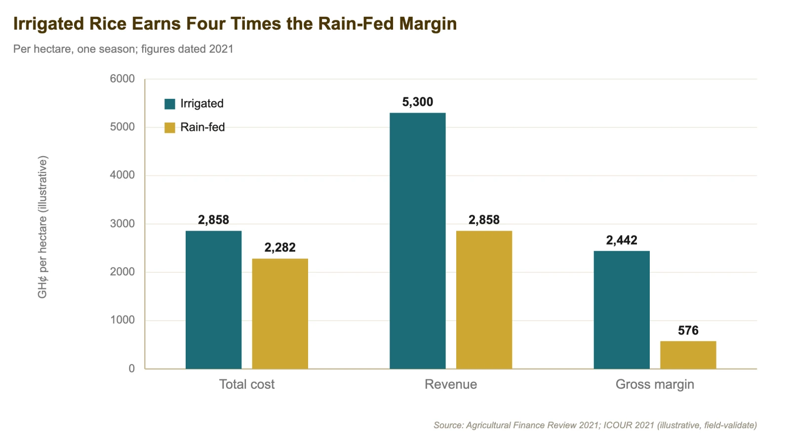 Irrigated rice earns roughly four times the margin of rain-fed rice
