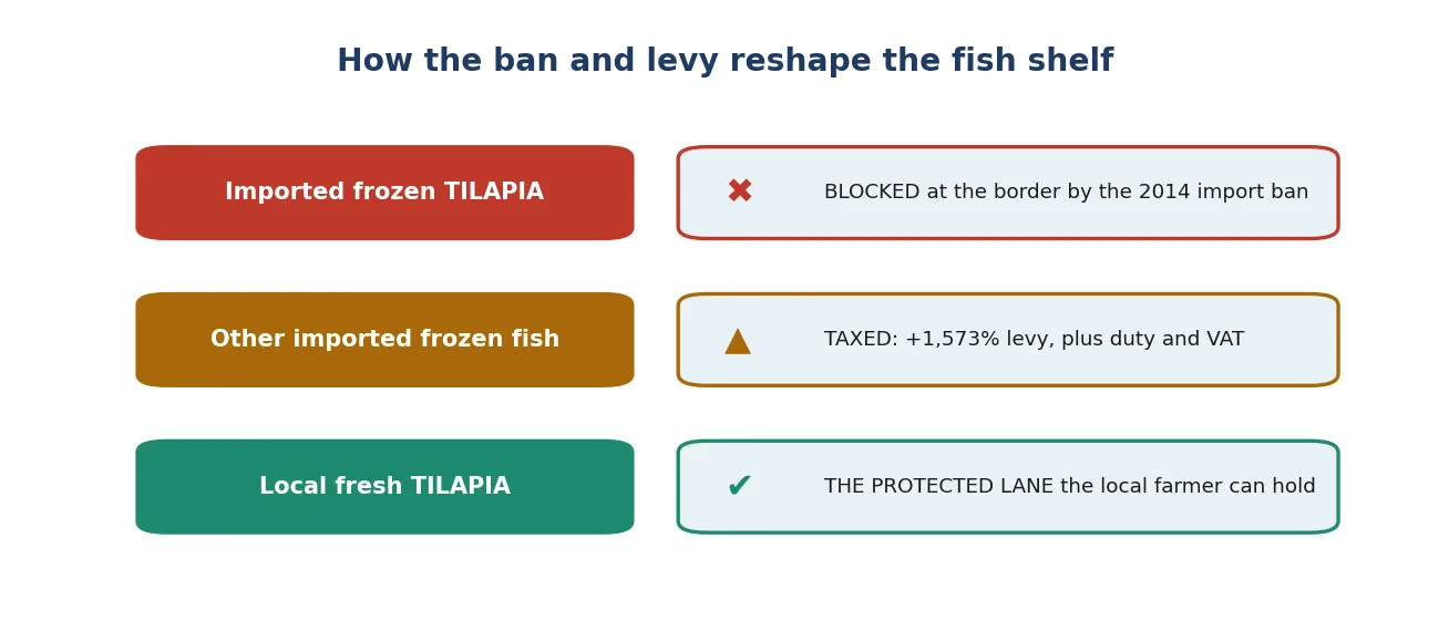 How the tilapia ban and the frozen-fish levy reshape the fish shelf