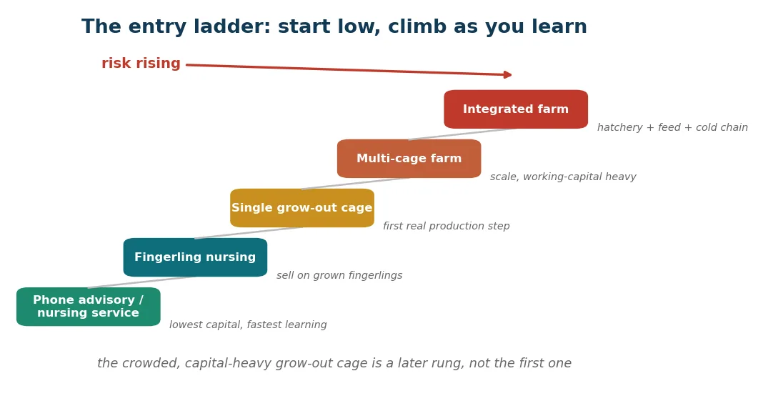 The entry ladder: the lowest-capital, fastest-learning rungs are services at the seed and advisory end; the grow-out cage is the crowded, capital-heavy rung, not the first one