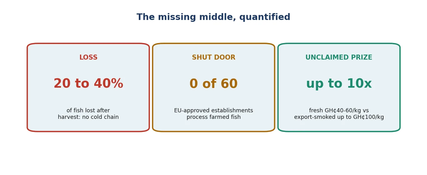 The missing middle quantified: post-harvest loss, the shut export door, and the unclaimed smoked-export premium