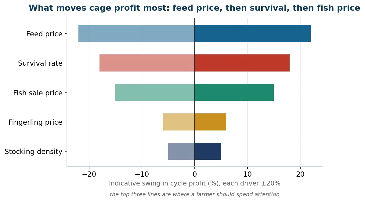 What moves the profit: the cage result is most sensitive to feed price, then survival, then fish price