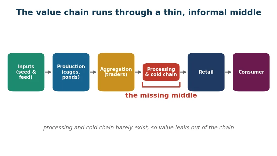 The tilapia value chain from seed and feed to the plate, with the thin, informal middle where value leaks