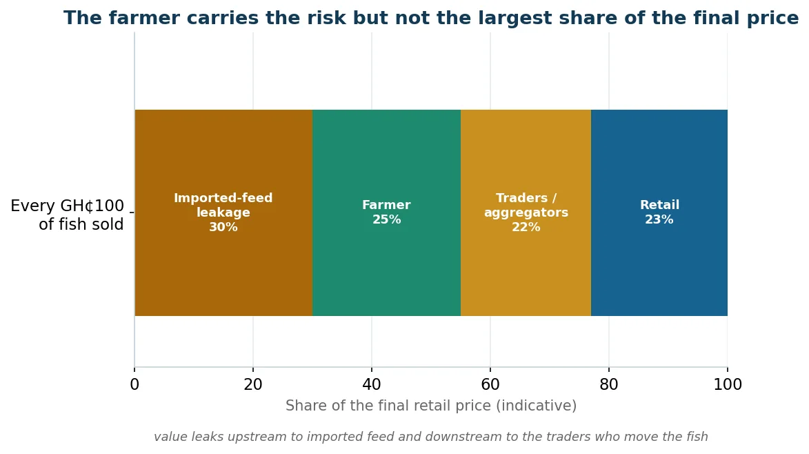 Where the value goes along the tilapia chain: the farmer takes the risk but not the largest share of the final price