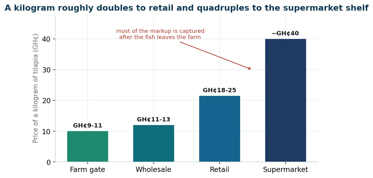 The tilapia price ladder from farm gate to wholesale to retail to supermarket, per kilogram