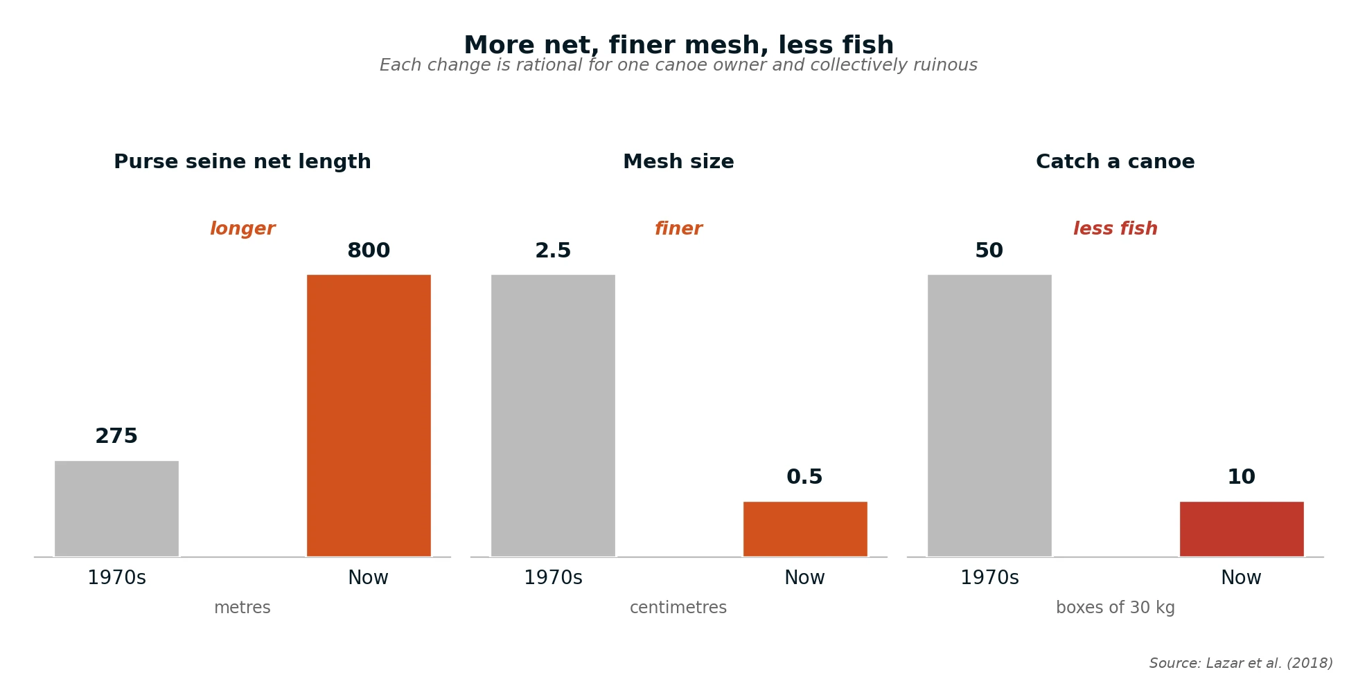 Purse seine net length rising, mesh size falling, and catch a canoe falling, since the 1970s