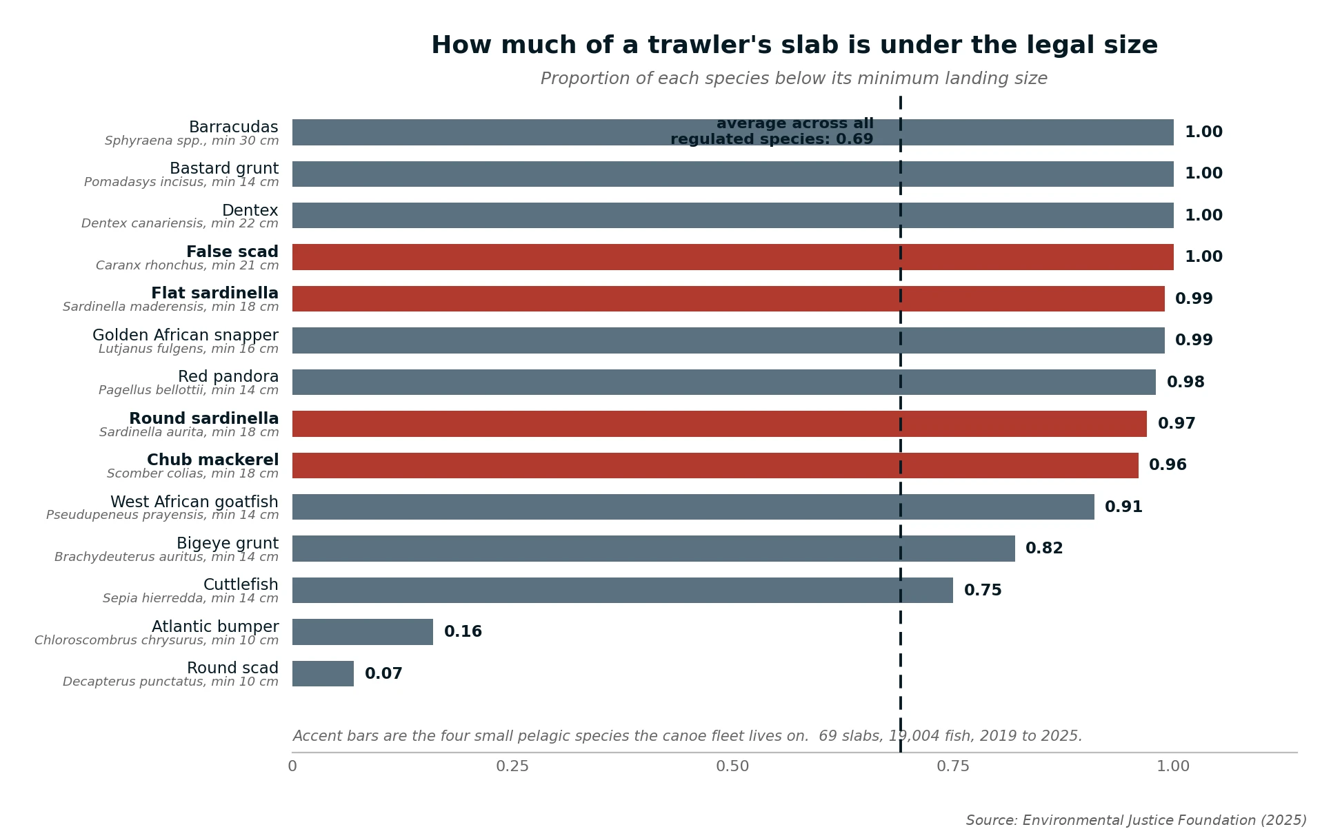 Proportion of each species below its minimum landing size in trawler slabs, 2019 to 2025